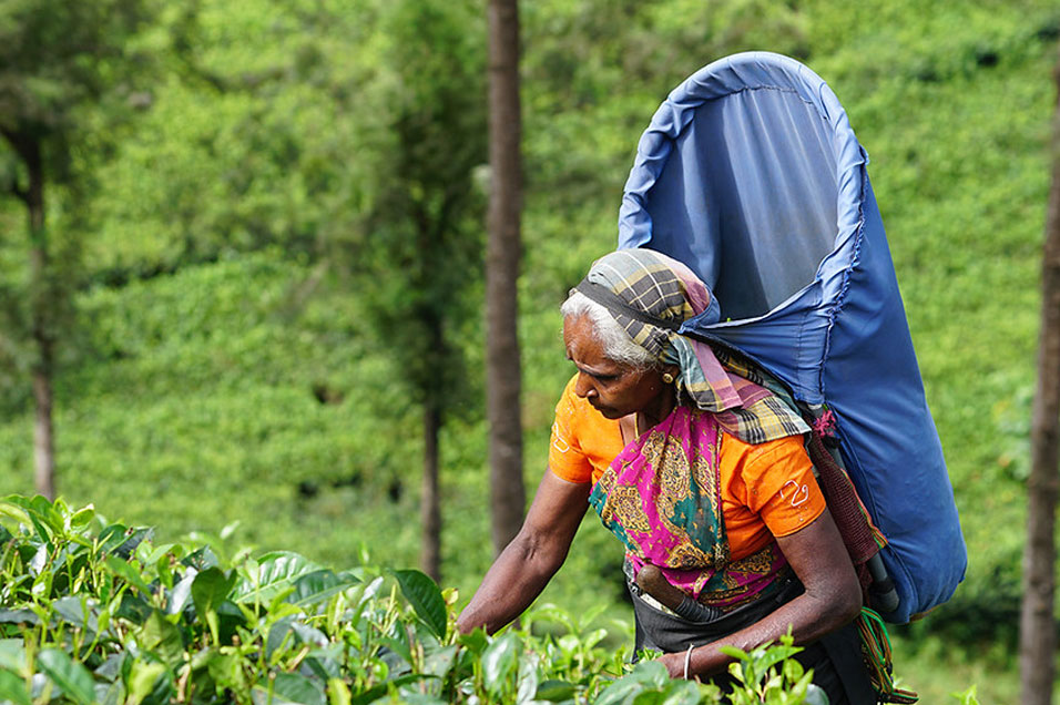 Sri Lanka Itineraries