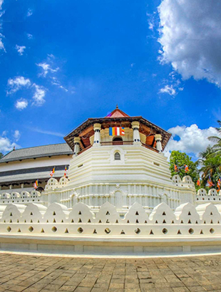 Sri Lanka Tours