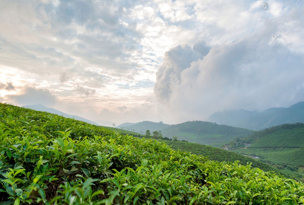 Glimpse of Sri Lanka