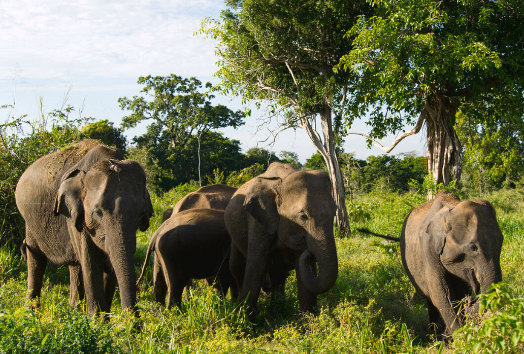 Sri Lanka Destinations